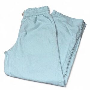 J. Crew Light Blue Elastic Waist Pants